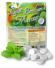 Xylit Bonbons Minz kaufen, 100% zuckerfrei, 70g (ca. 35 Stk)