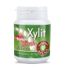Xylit Birkenzucker Bonbon Scharfe Minze - 100% zuckerfrei, 100 Bonbons, 70g Inhalt