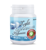 Xylit Kaugummi Pfefferminz - zuckerfrei, Inhalt 80 Stk