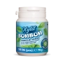 Xylit Birkenzucker Bonbon Frische Minze - 100% zuckerfrei, 100 Bonbons, 70g Inhalt