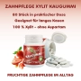 Xylit Kaugummi Erdbeere - zuckerfrei, Inhalt 80 Stk