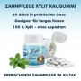Xylit Kaugummi Pfefferminz - zuckerfrei, Inhalt 80 Stk