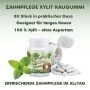 Xylit Kaugummi Spearmint - zuckerfrei, Inhalt 80 Stk
