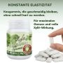 Xylit Kaugummi Spearmint - zuckerfrei, Inhalt 80 Stk