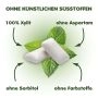 Xylit Kaugummi Spearmint - zuckerfrei, Inhalt 80 Stk