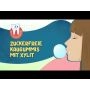 Xylit Kaugummi Spearmint - zuckerfrei, Inhalt 80 Stk