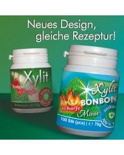 Xylit Birkenzucker Bonbon Scharfe Minze - 100% zuckerfrei, 100 Bonbons, 70g Inhalt
