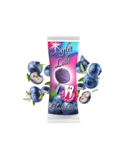 Blaubeere Lolli mit Xylit - zuckerfreier Dauerlutscher, 1 Stk je 6g