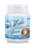 Xylit Kaugummi Pfefferminz - zuckerfrei, Inhalt 80 Stk