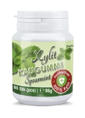 Xylit Kaugummi Spearmint - zuckerfrei, Inhalt 80 Stk